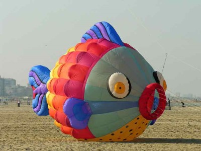 Vulandra 