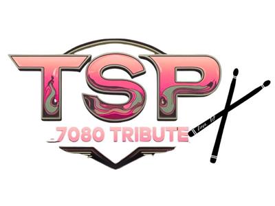 THE SERIOUS PROJECT 